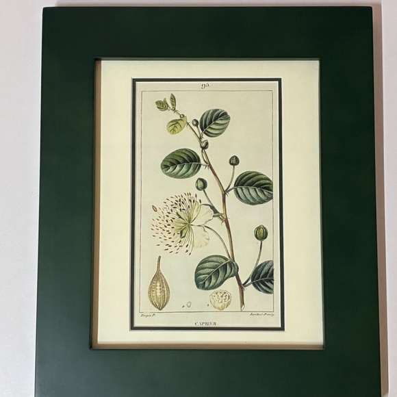 Set of 3 Framed Botanical Prints - Picture 3 of 4